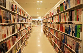 銀發歲月，代碼相伴——在馬鞍山的晚年技術人生暢想